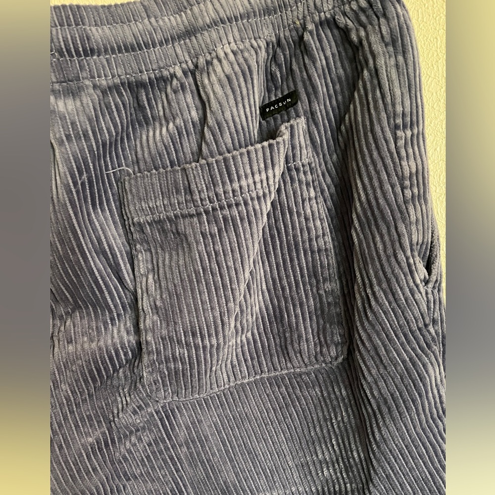 Pacsun Corduroy Volley Shorts
